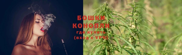 кокс Козельск