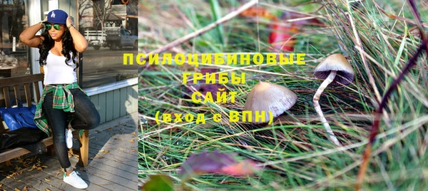 прущие крисы Пенза